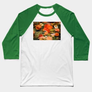 Tidal Pool Baseball T-Shirt